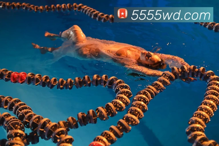 伟德体育平台生态图